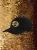 czapka.webp